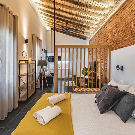 Apartamentos Caceres Central Suites *